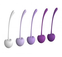 Набор из 5 фиолетово-белых шариков CHERRY KEGEL EXERCISERS